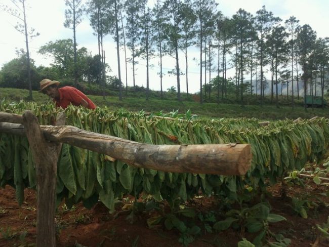 Delia Matache, vacanta exotica in Asia: Trebuie sa incerci macar o data in viata! FOTO