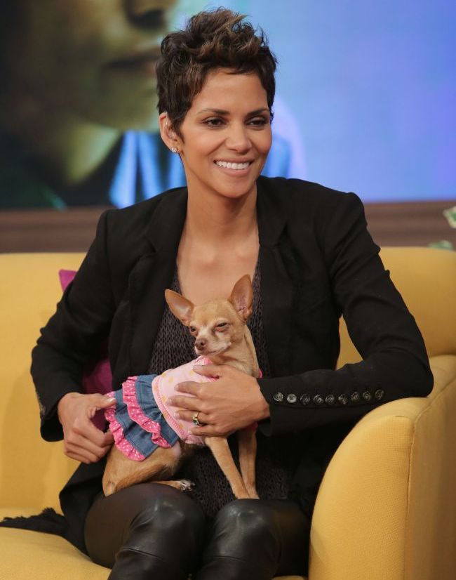 Halle Berry, eclipsata de propriul decolteu. Bustul actritei a ridicat audientele la cote maxime intr-o emisiune live &ndash; FOTO