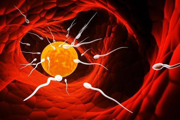 7 mituri despre fertilitate si adevarul despre ele