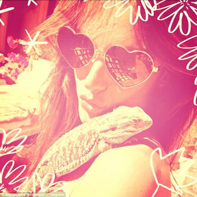 Fite de vedete: ce animal bizar si-a luat Alessandra Ambrosio drept companie
