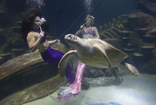 Singurul si cel mai vechi loc din lume unde poti sa vezi sirene: FOTO