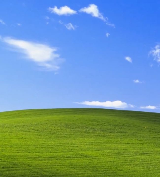Adevarul despre cel mai folosit wallpaper din intreaga lume. Ce secret ascunde peisajul Bliss