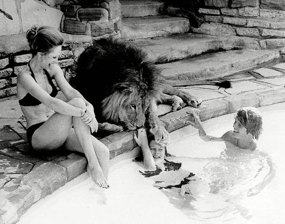 Primul animal de casa al lui Melanie Griffith a fost unul salbatic si fioros. Ce marturisiri au facut parintii actritei