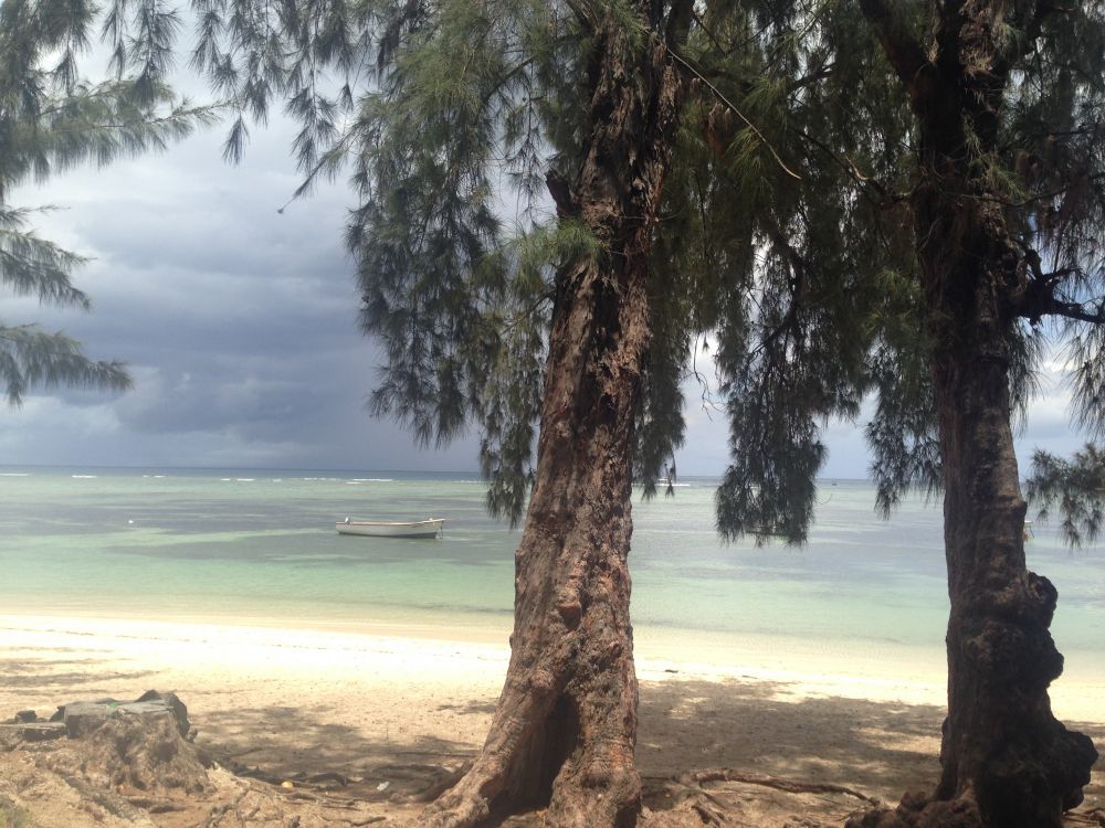 Unde fugim de iarnă - Mauritius - insula care a inspirat Paradisul