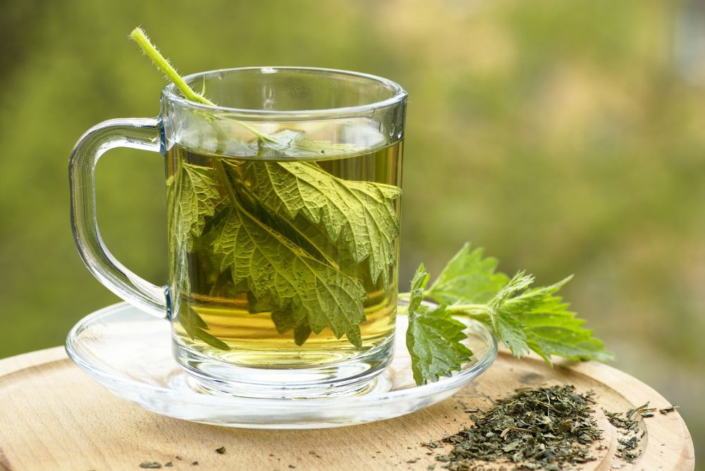 Vrei să slăbești și să te detoxifiezi? Ține o cură cu urzici