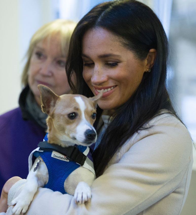 Ce animal de companie vor să-i dăruiască Meghan și Harry micuțului Archie
