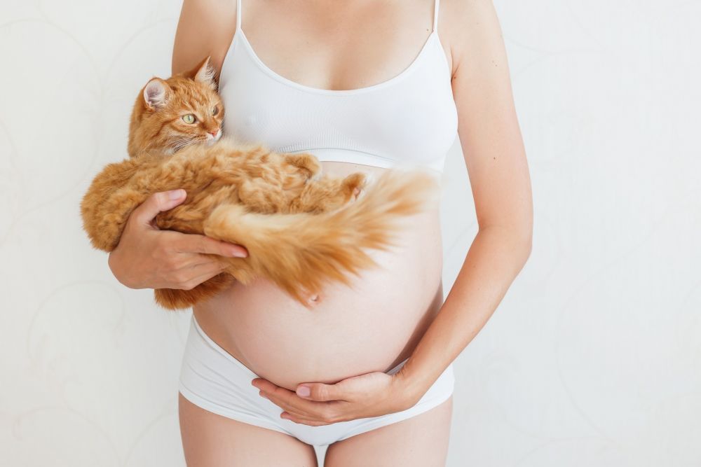 11 boli pe care poți să le iei de la animale