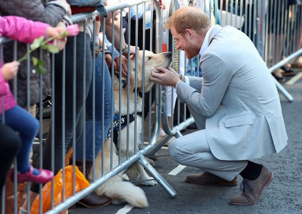 Vestea că rom&acirc;nii r&acirc;d de c&acirc;inele lor a ajuns p&acirc;nă la Meghan și Harry! Ce au aflat din presă