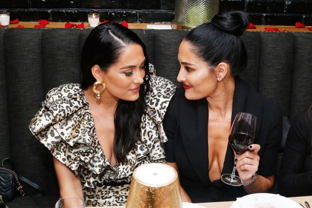 Brie și Nikki Bella, primele poze cu bebelușii lor, Matteo și Buddy