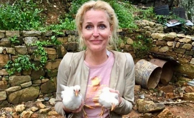 Gillian Anderson a renunțat complet la sutiene: &rdquo;Nu-mi pasă dacă s&acirc;nii mei ajung la buric&rdquo;