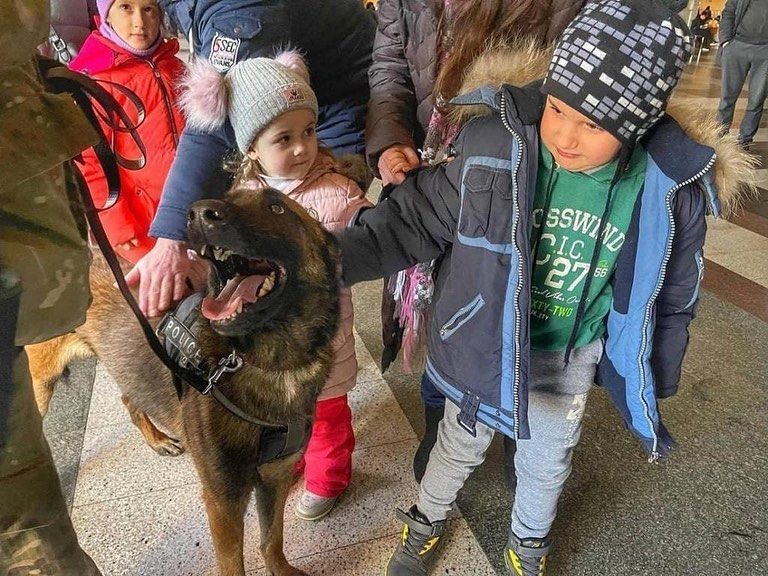 Kievul &icirc;n vreme de război: Imagini surprinse de jurnaliștii străini cu oamenii care stau &icirc;n adăposturi