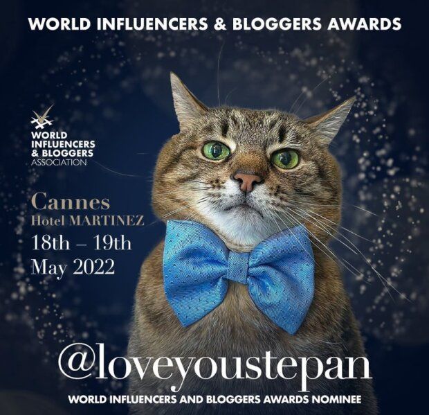 Stepan, cel mai popular motan din Ucraina, nominalizat la titlul de World Influencers Awards 2022