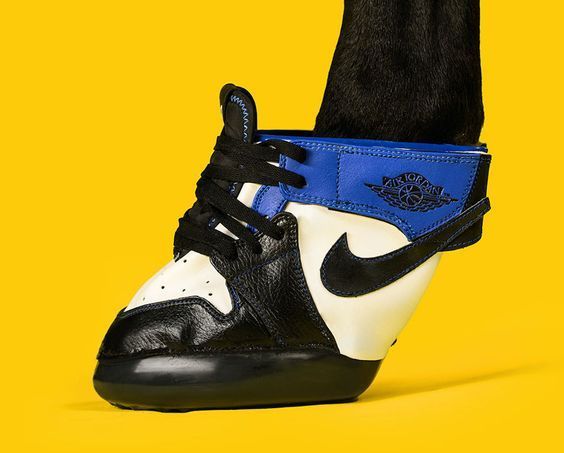 A fost lansată prima pereche de adidași pentru cai! Cum arată și c&acirc;t costă &icirc;ncălțările