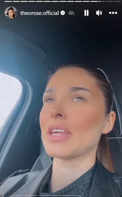 Theo Rose, probleme &icirc;n trafic! Ce a pățit?